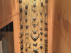 -Behring World of Animals(上海自然博物馆店)