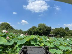 -西溪国家湿地公园