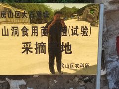 -仙蘑洞