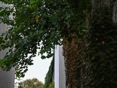 -老门东历史文化街区