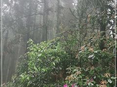 -井冈山风景名胜区