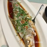宁波韩岭老街宝藏餐厅！！！