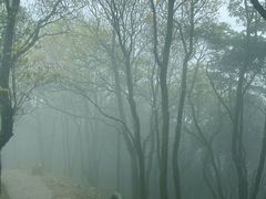 -梧桐山风景名胜区