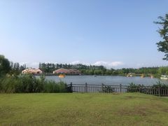 -上海长兴岛郊野公园