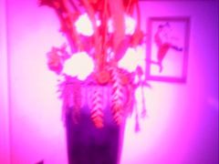 -真爱范特西KTV(交大店)