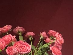 -都氏家DUSJOY(翡翠城店)