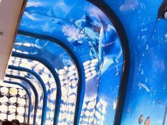 -小鱼儿海鲜港(新村十区店)