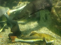 -太平洋海底世界