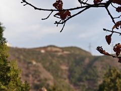-北京十三陵国家森林公园蟒山景区