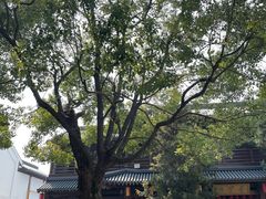 -香积寺