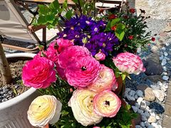 -AHAVA·Fang Baking Studio