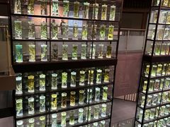 -广东中医药博物馆