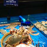 又快乐啦！在深圳～轻松实现海鲜自由～