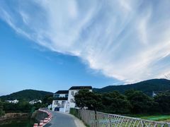 -树山生态村