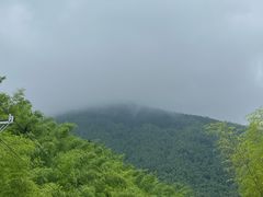 -大围山国家森林公园