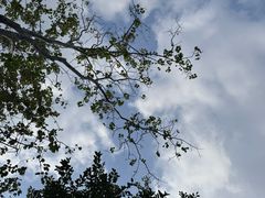 -松山湖风景区松湖烟雨