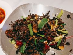 -俭寨大盘鸡·缸子肉·小公鸡·新疆菜(云通店)