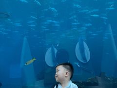 -涛·海底餐厅·美人鱼·自助餐·海底隧道(三亚海棠湾洲际度假酒店)