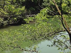 -白马涧龙池景区