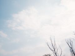 -成飞公园