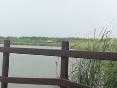 -西青郊野公园