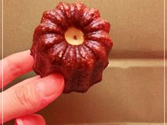 -OUR Bakery(SKP-S店)