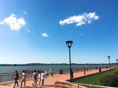 -丁香湖公园