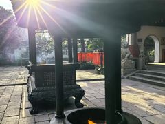 -秋霞圃
