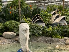 -南宫五洲植物乐园