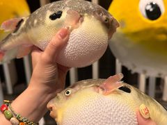 -永安鱼庄·镇江菜(东吴路店)