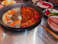 -朱光玉火锅馆(正弘城店)