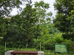 -龙头寺公园
