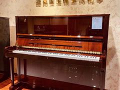-秦川乐器(河西店)