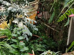 -正佳雨林生态植物园