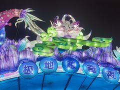 -海合安武汉极地海洋公园