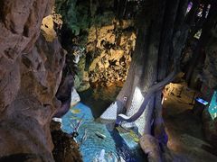 -西安曲江海洋极地公园