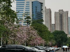 -天河体育中心