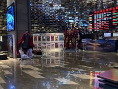 -武商摩尔影城(国广IMAX激光店)
