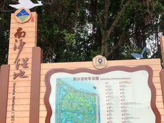 -大湾区中央湿地公园