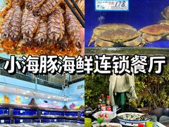 -亚龙湾热带天堂森林公园