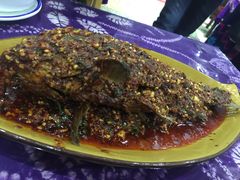 -白家寨子·山野白族菜(古城总店)