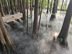 -东湖落雁景区