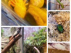-上海大自然野生昆虫馆(东方明珠·爬宠昆虫探索中心)