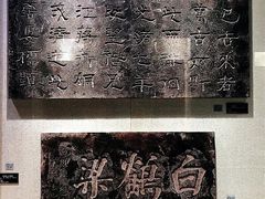 -白鹤梁水下博物馆