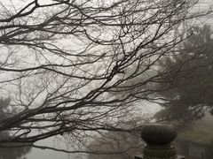 -庐山风景区花径公园