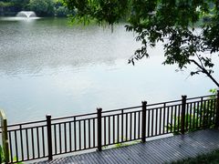 -重庆彩云湖湿地公园