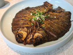 -洞庭家宴·头牌甲鱼(广渠门店)