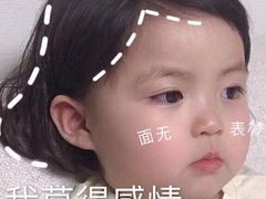 -孙七鸡柳