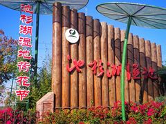 -池杉湖湿地公园