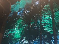 -桂满陇·海市蜃楼·黑金(国金店)